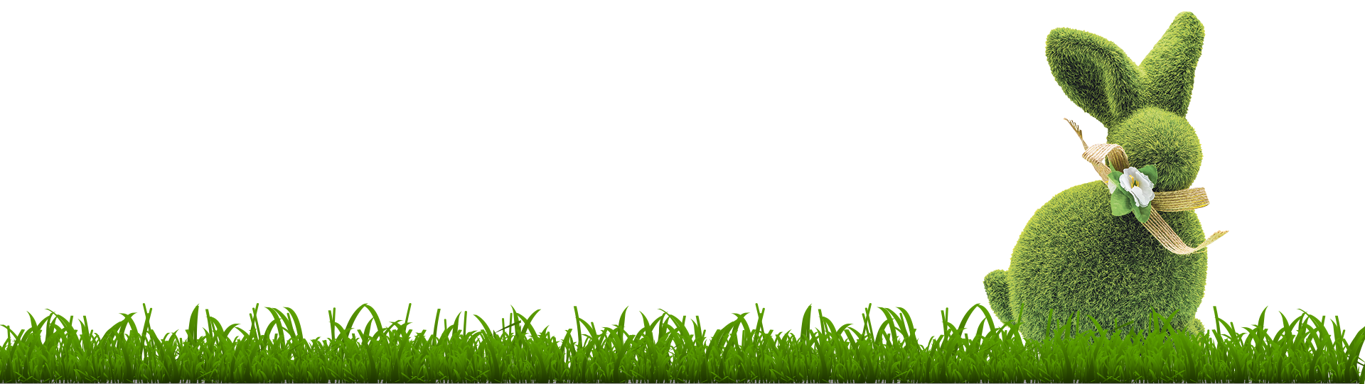 Græskanin_bg_bund