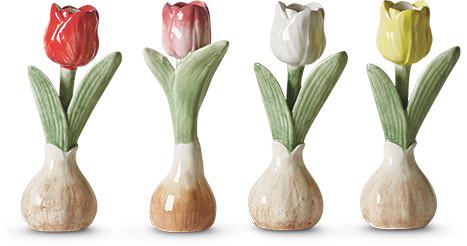 tulipan-Dacore-4-stk