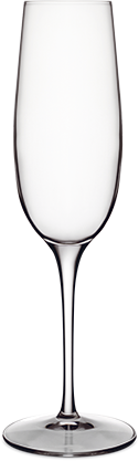 Kop-og-kande---Champagne-glas-frit