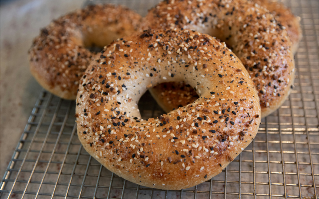 New York Bagel