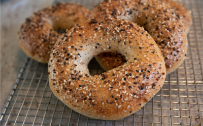New York Bagel